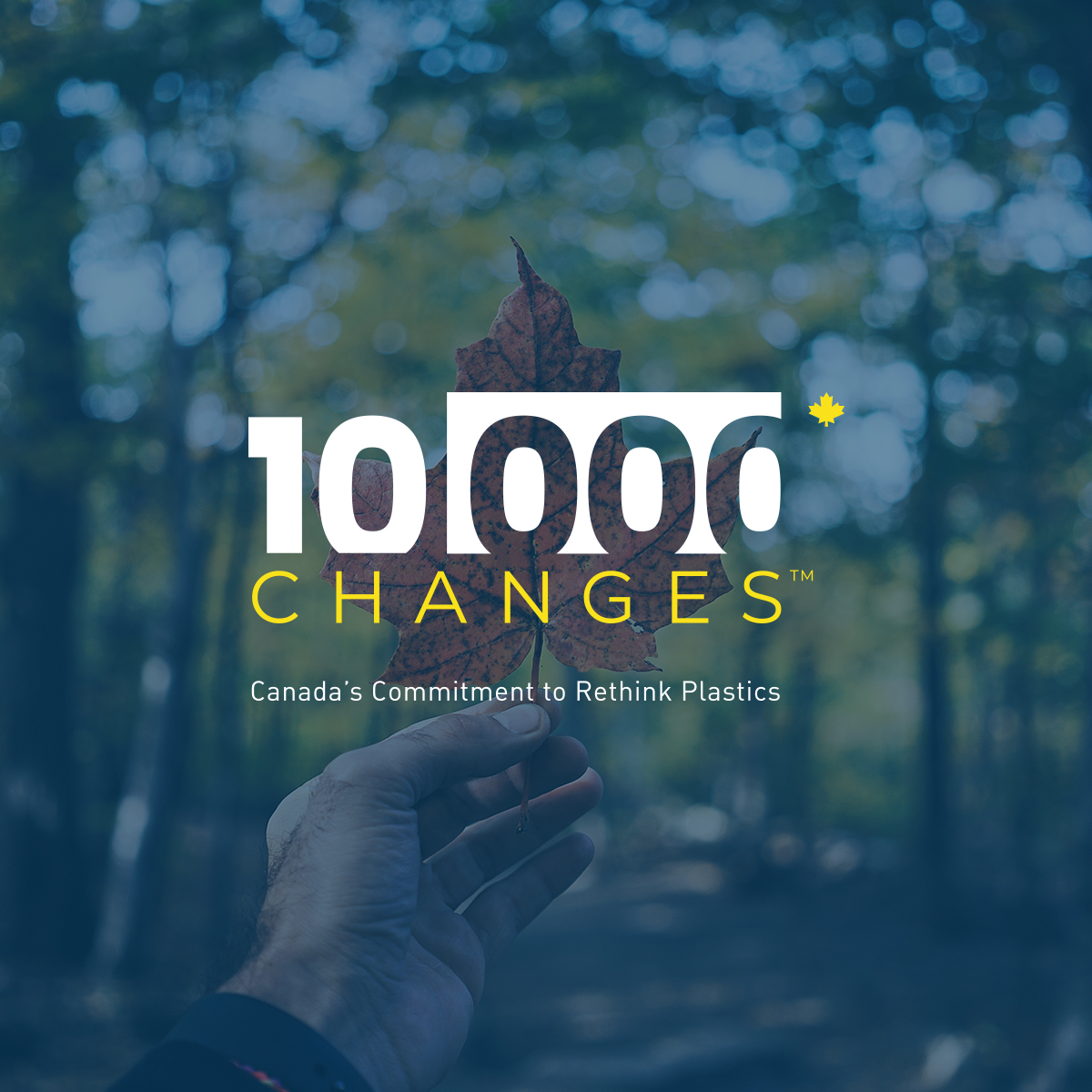 10,000 Changes